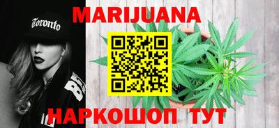 крисы Будённовск